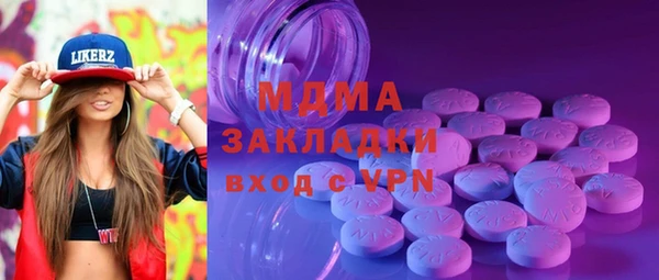 амф Гусев