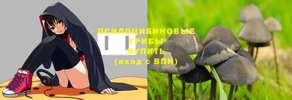 амф Гусев