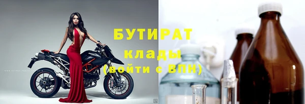 амф Гусев