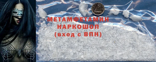 амф Гусев