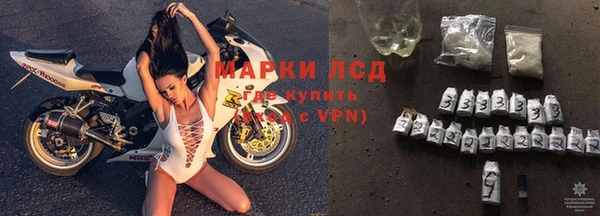 амф Гусев